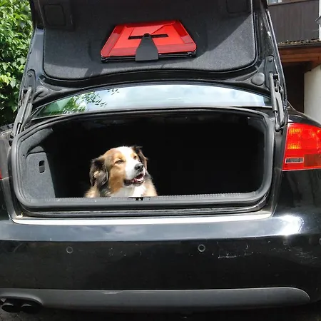 Apartment Ferienwohnung Gartenstrasse *