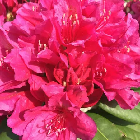 Ferienwohnung Gartenstrasse