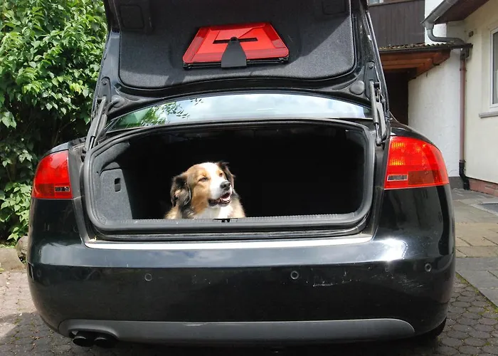 Апартаменты Ferienwohnung Gartenstrasse *