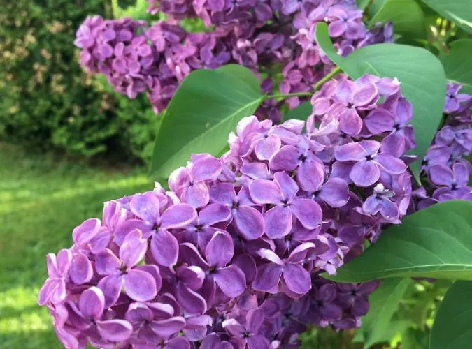 Ferienwohnung Gartenstrasse Апартаменты Герсфельд